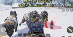 手游生存打猎游戏怎么玩，手游生存打猎游戏怎么玩的