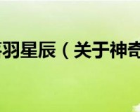 神奇宝贝之落羽星辰官方版游戏下载，安卓苹果ios版本下载