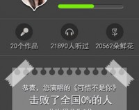 新浪好声音电脑版 1.1下载，新浪好声音电脑版 1.1免收费下载安装(新浪好声音客户端(新浪好声音客户端介绍)