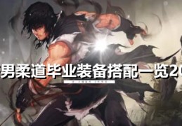 柔道 dnf 毕业武器排行_dnf柔道毕业武器