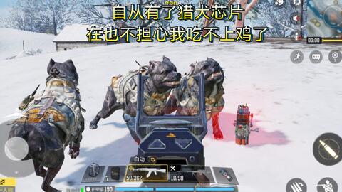 手游生存打猎游戏怎么玩,手游生存打猎游戏怎么玩的